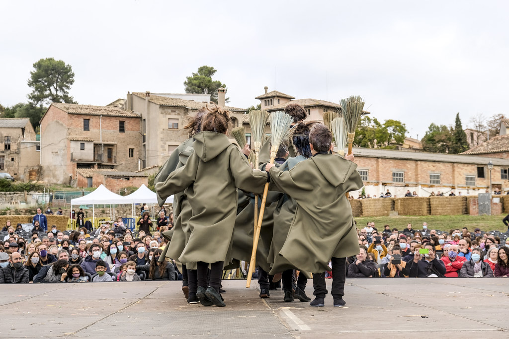 Fira de les Bruixes de Sant Feliu Sasserra