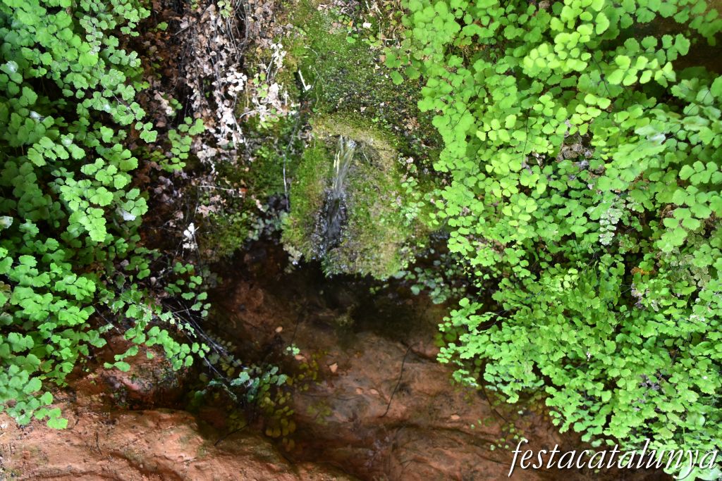 Santa Maria de Miralles - Balma del Balç de Fontanilles