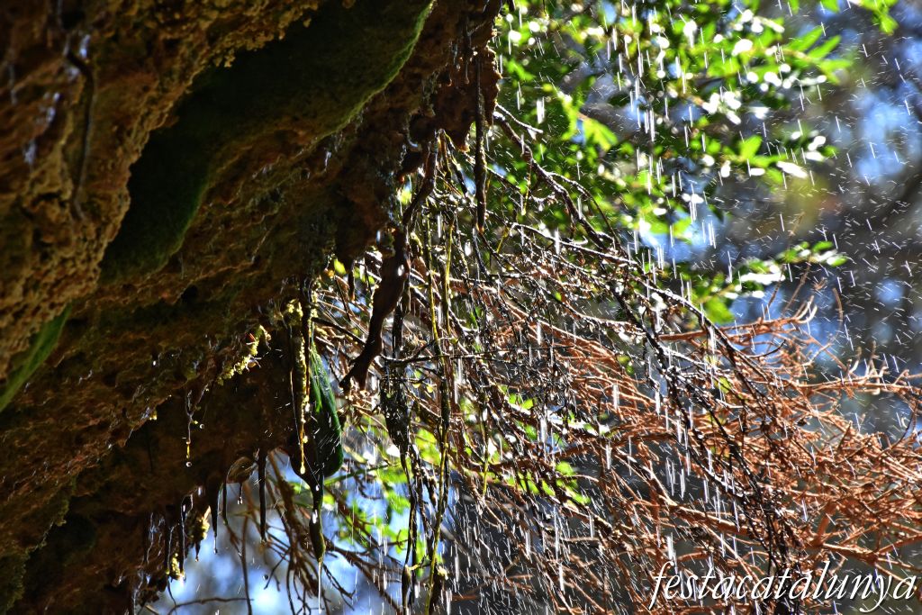 Santa Maria de Miralles - Balma del Balç de Fontanilles 