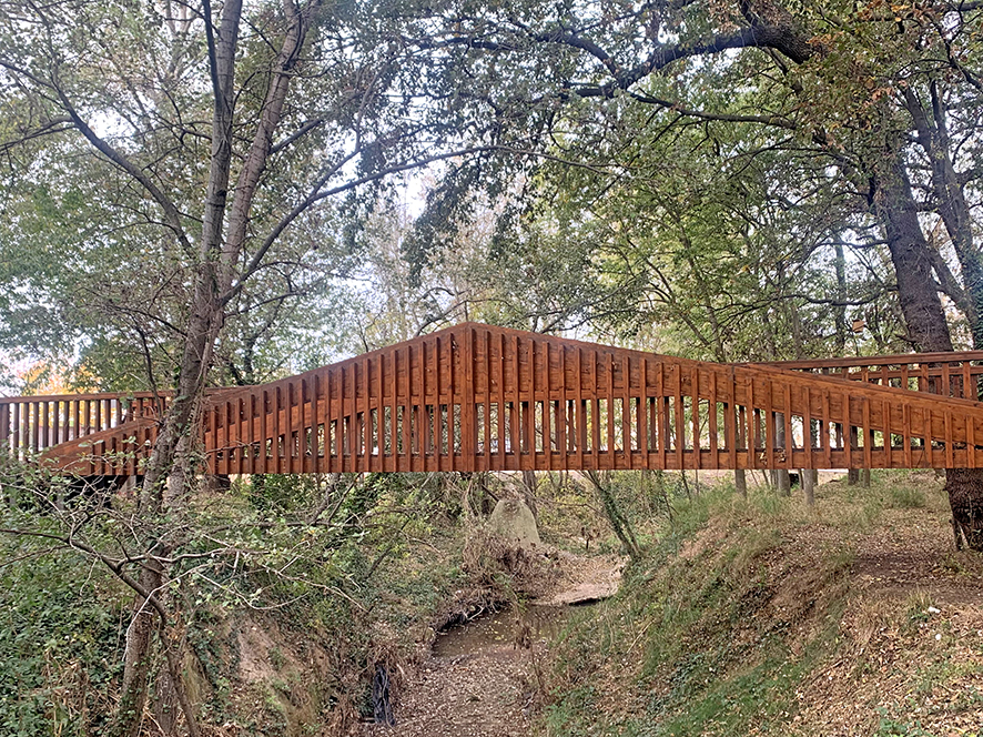 Salzereda de Pacs del Penedès