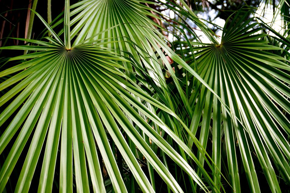 Parc Natural d'Olèrdola