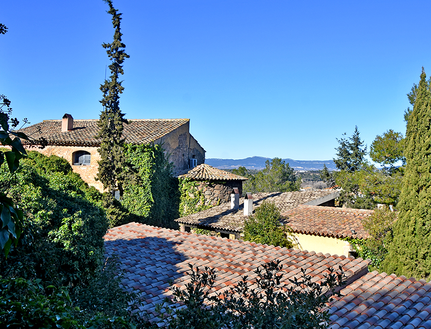 Castell de Rocamora a Montferri