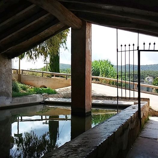 Safareig de Montferri