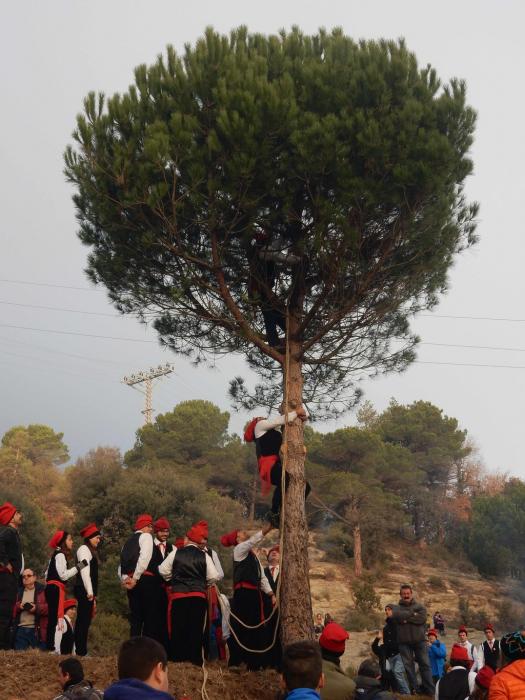 Festa del Pi de Centelles