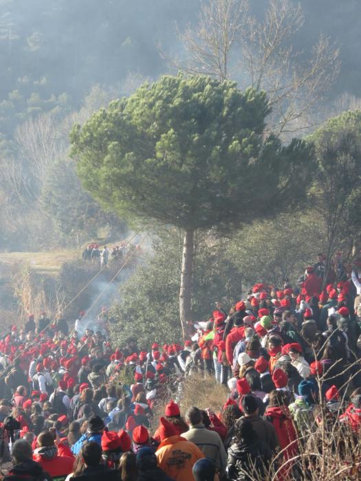 Festa del Pi de Centelles
