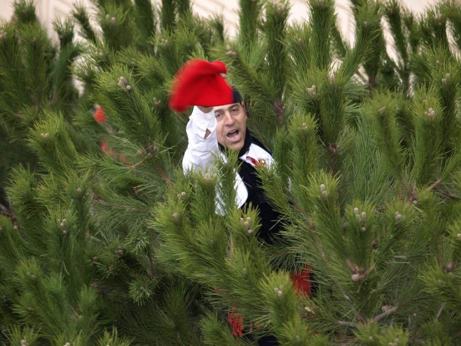 Festa del Pi de Centelles