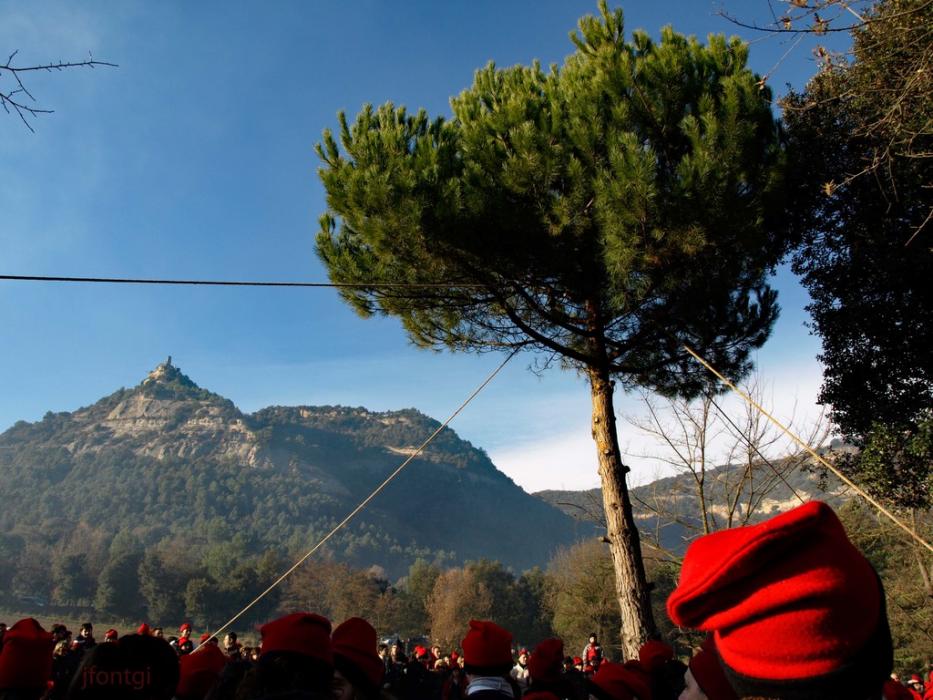 Festa del Pi de Centelles