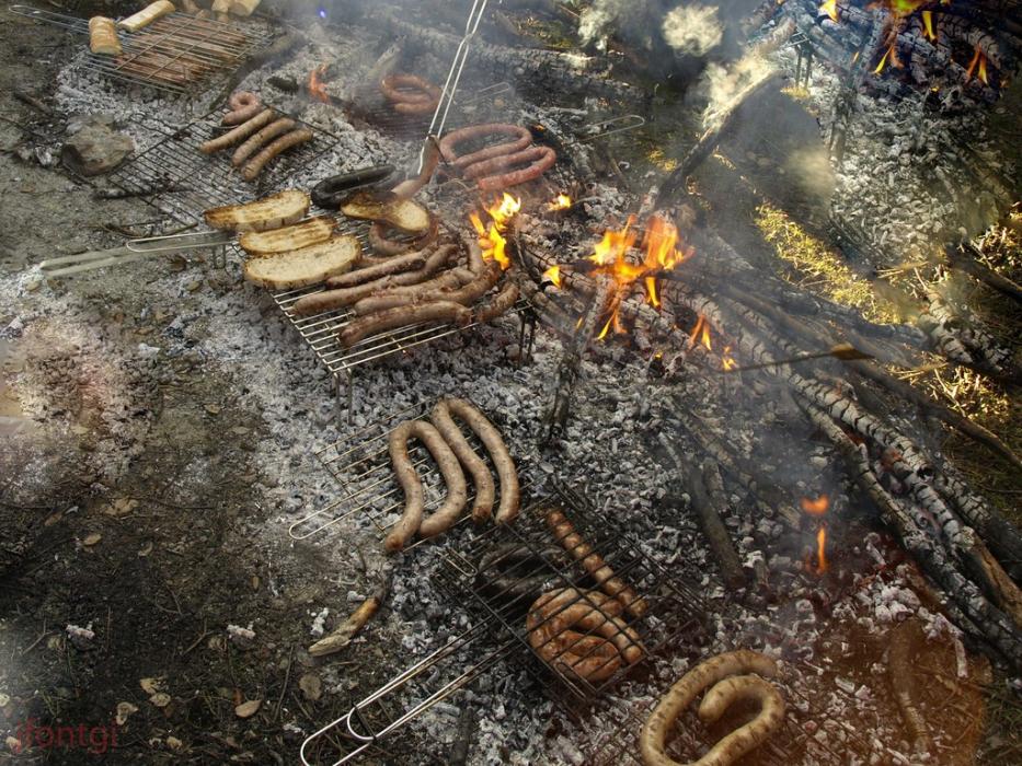 Festa del Pi de Centelles