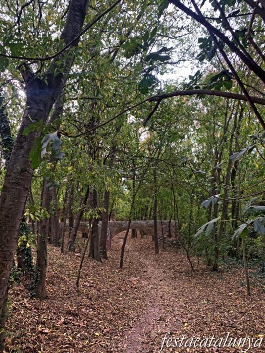Pacs del Penedès - Salzereda 