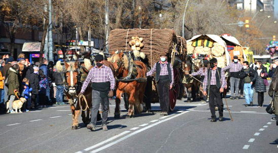 Festa dels Tres Tombs de Sant Andreu de Palomar a Barcelona