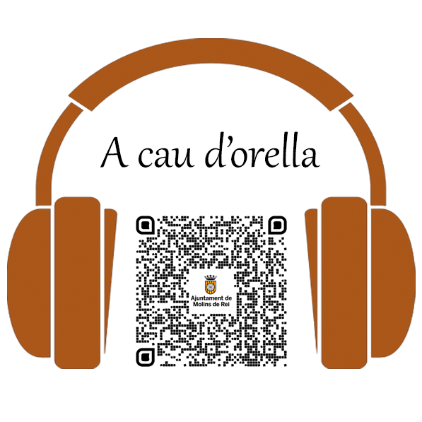 Palau de Requesens, visita audioguiada de Molins de Rei