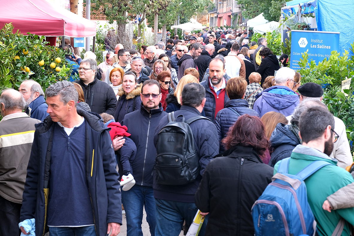 Fira de la Candelera a Molins de Rei