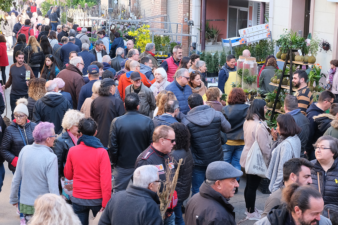 Fira de la Candelera a Molins de Rei