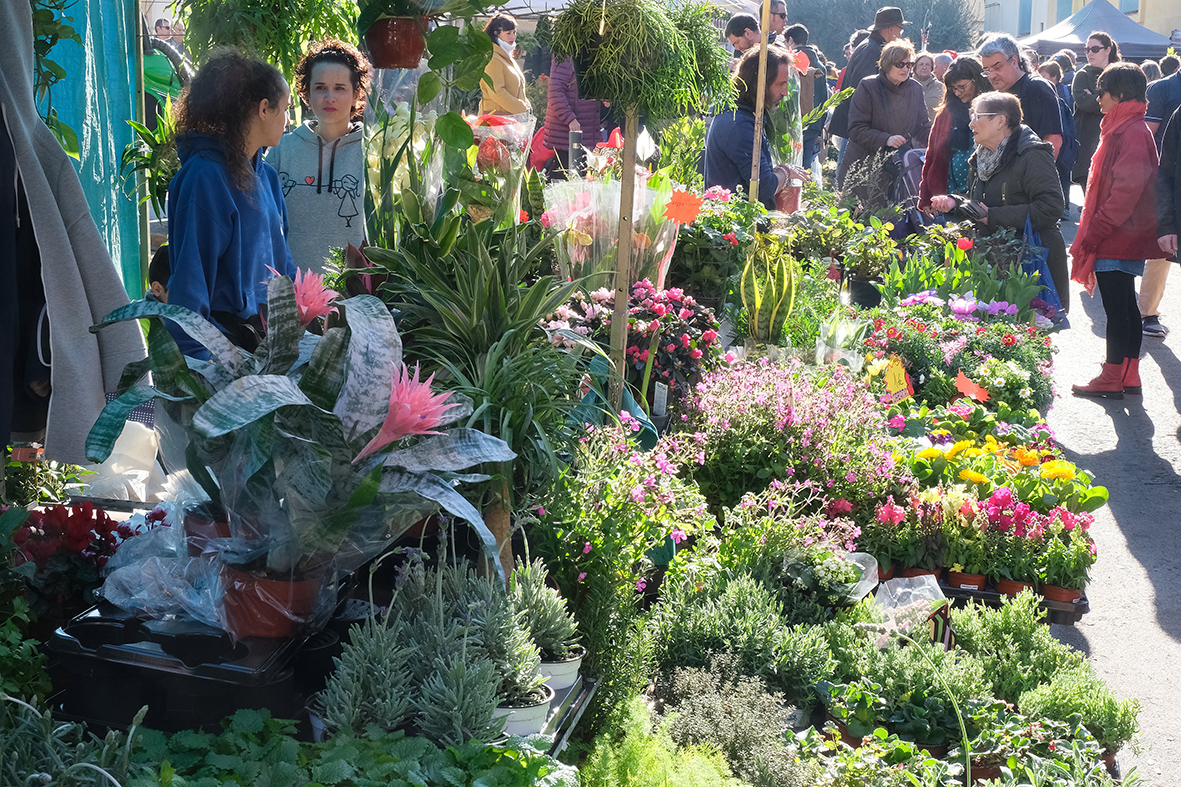 Fira de la Candelera a Molins de Rei