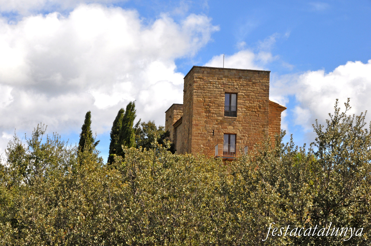 Navès - Castell de Besora 