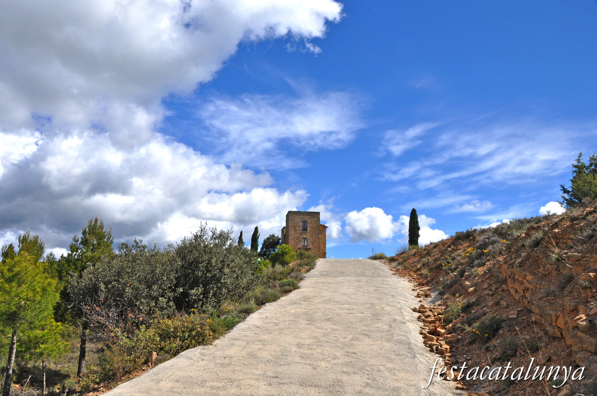 Navès - Castell de Besora
