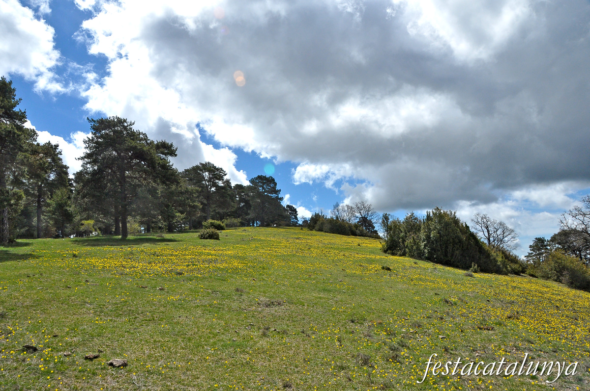 Navès - Mirador Sud de Busa 