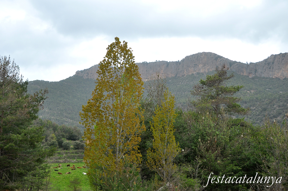 Navès - Serra de Busa 