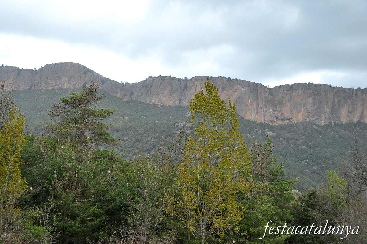 Navès - Serra de Busa 