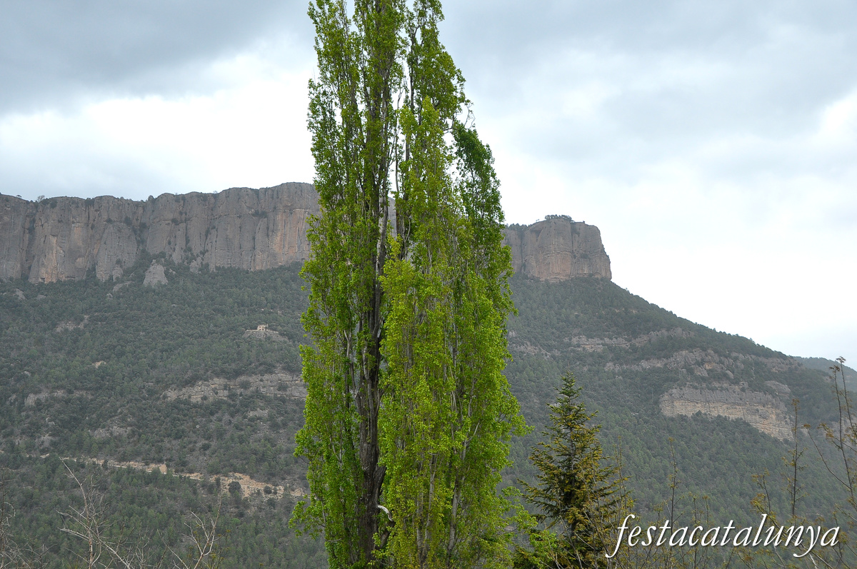 Navès - Serra de Busa 