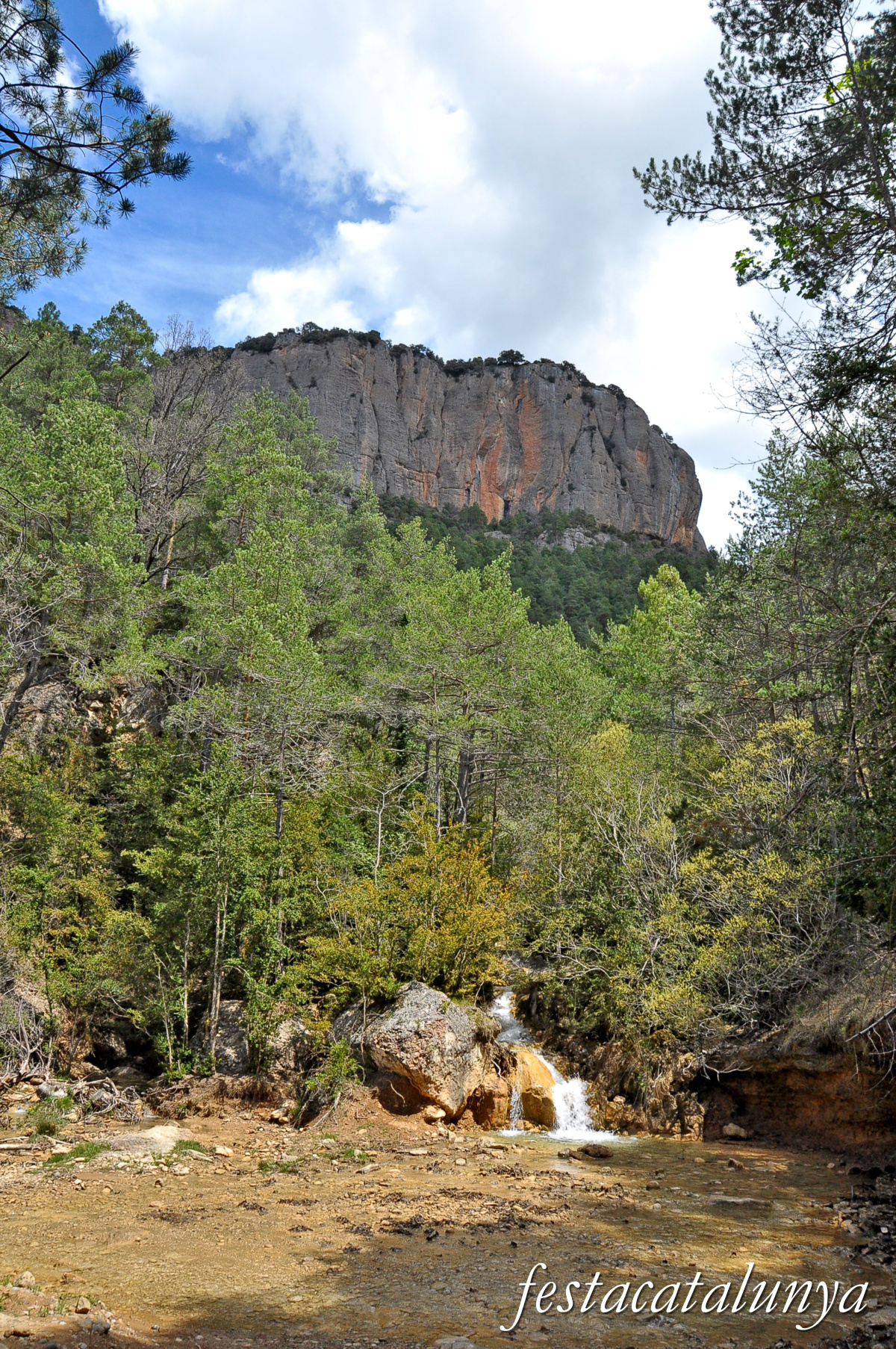 Navès - Serra de Busa 