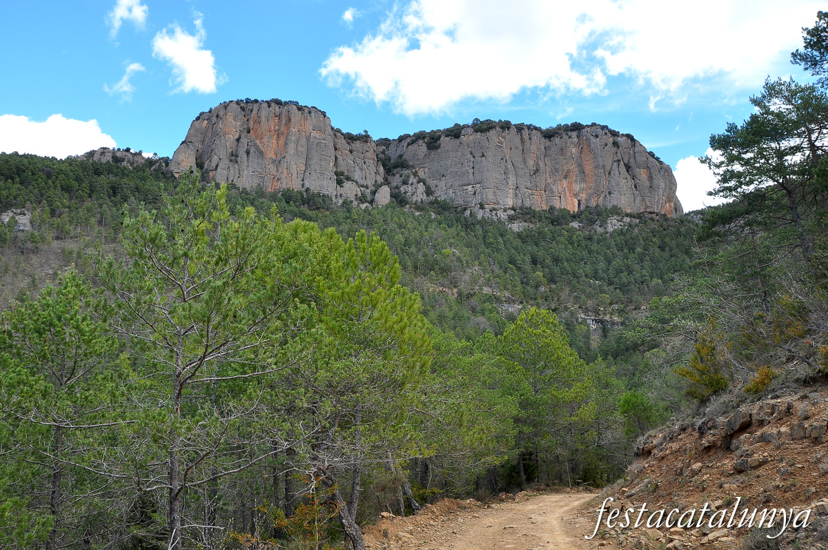 Navès - Serra de Busa 