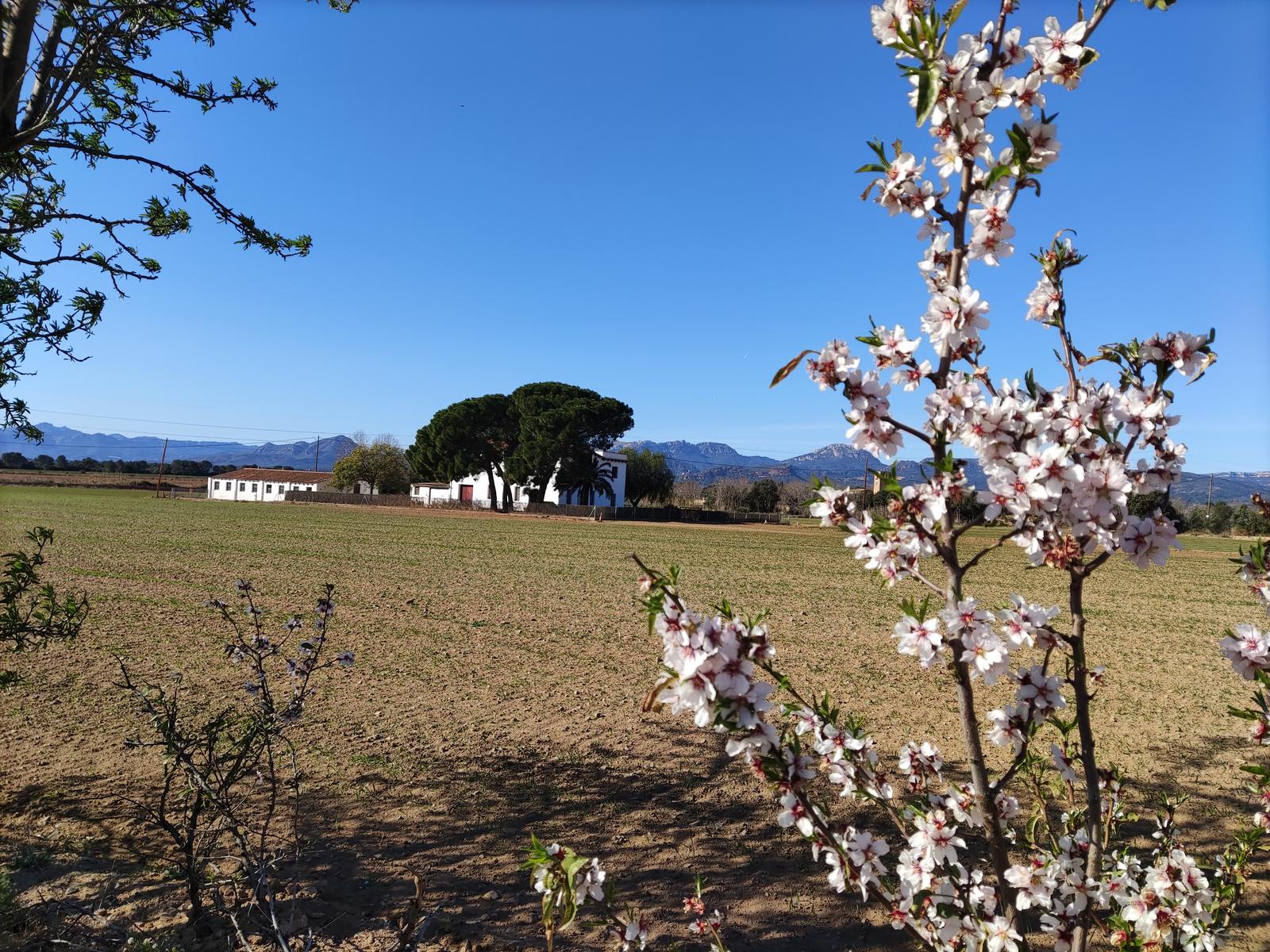 Rutes Saludables a Vinyols i els Arcs