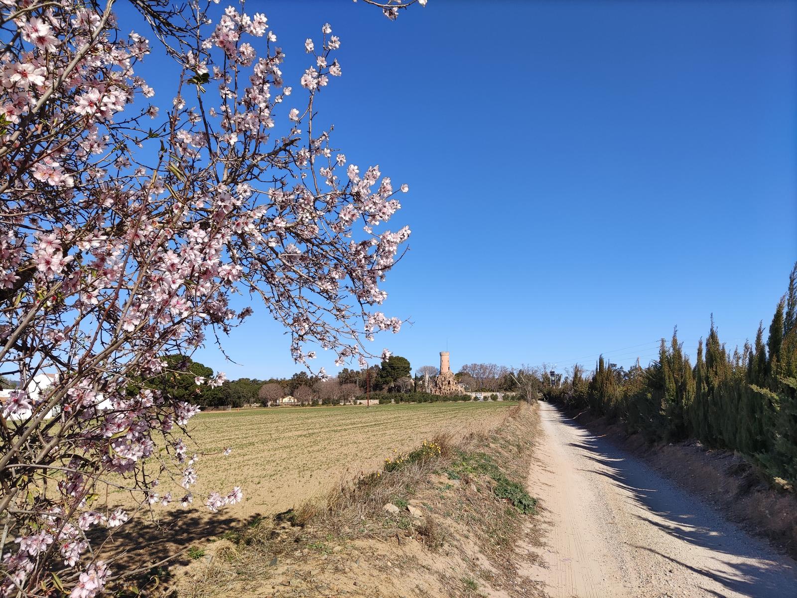 Rutes Saludables a Vinyols i els Arcs