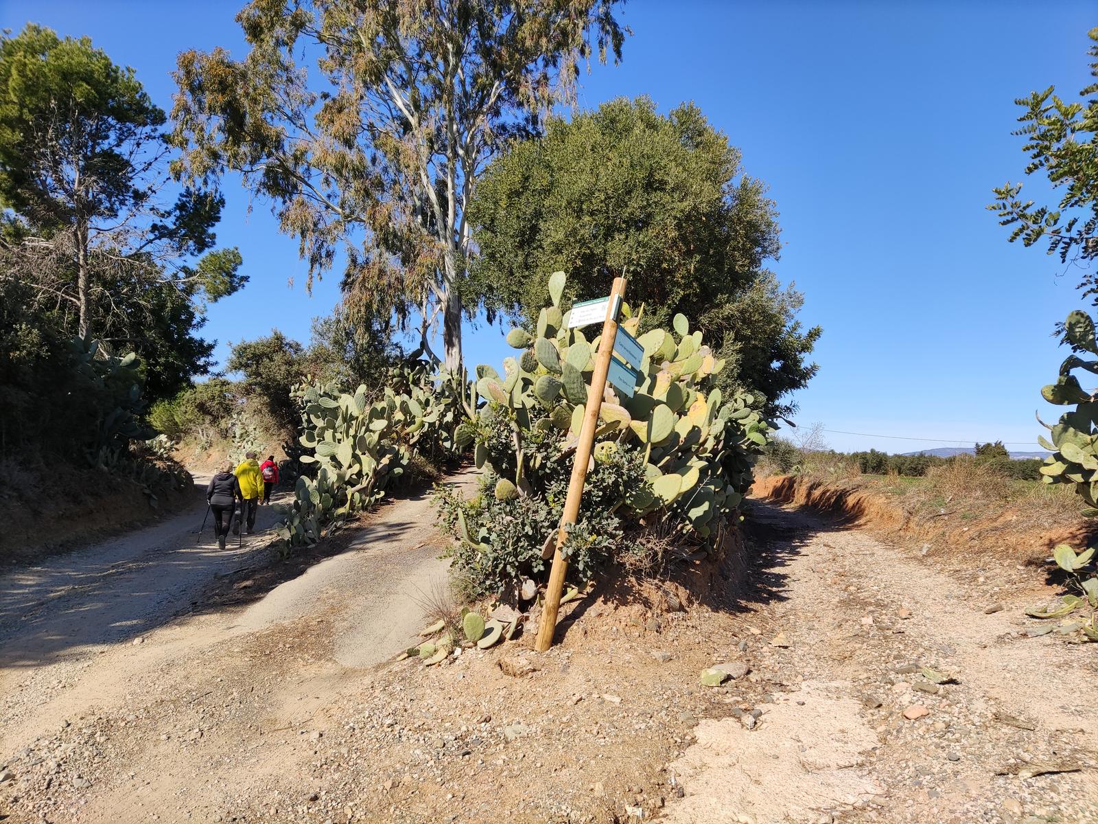 Rutes Saludables a Vinyols i els Arcs