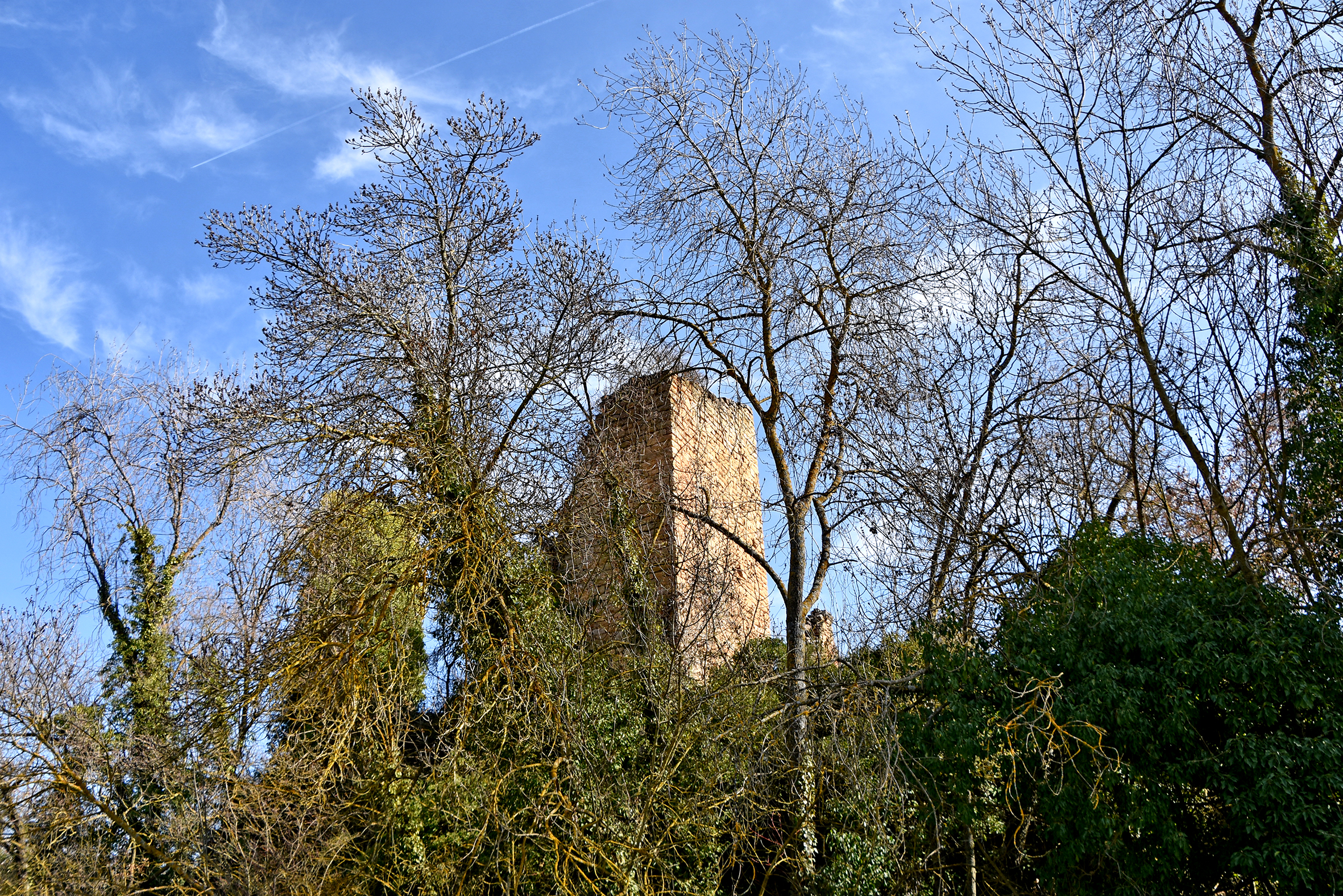 Castell de la Vall d'Ariet