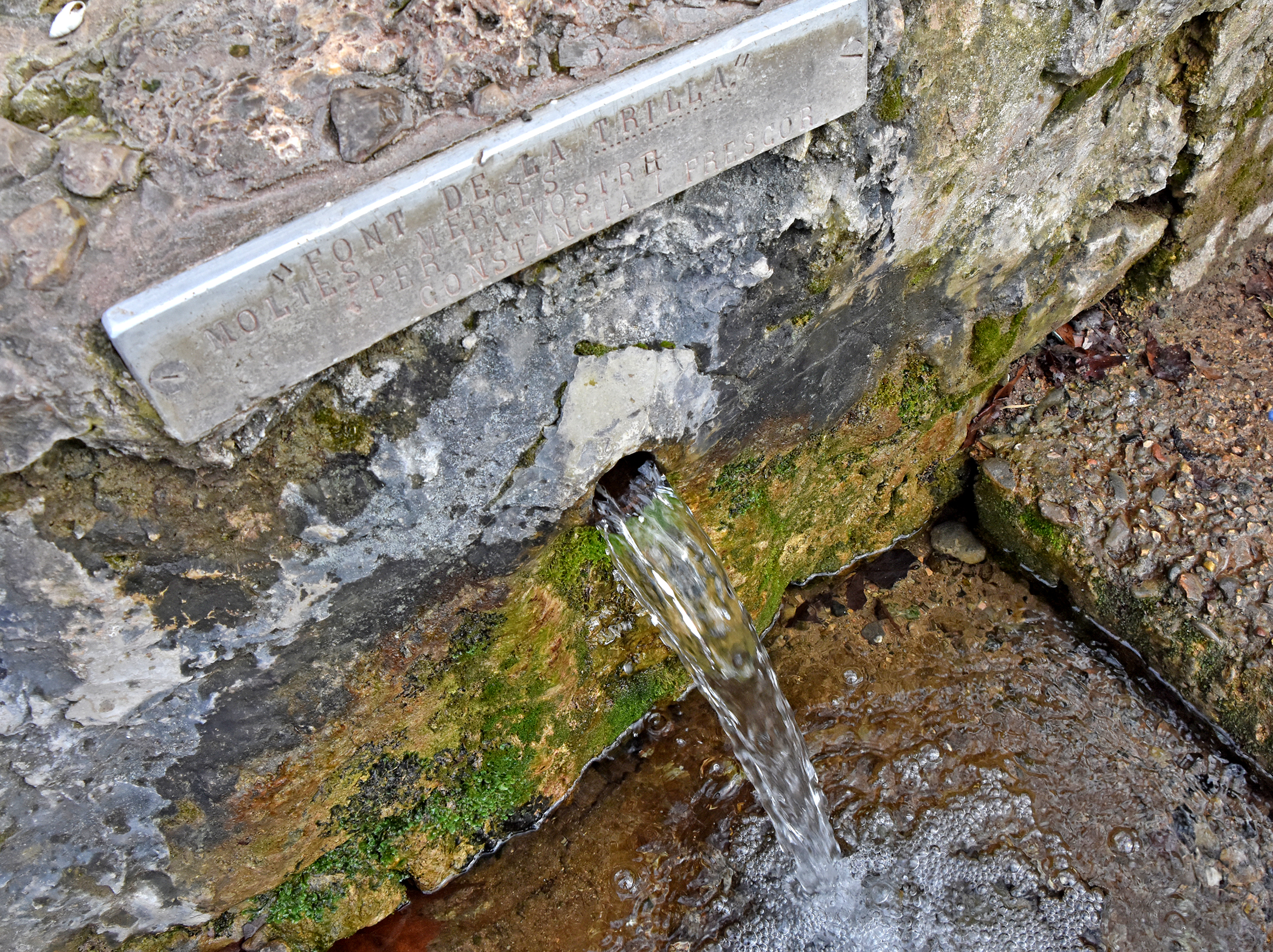 Font de la Trilla de Baldomar