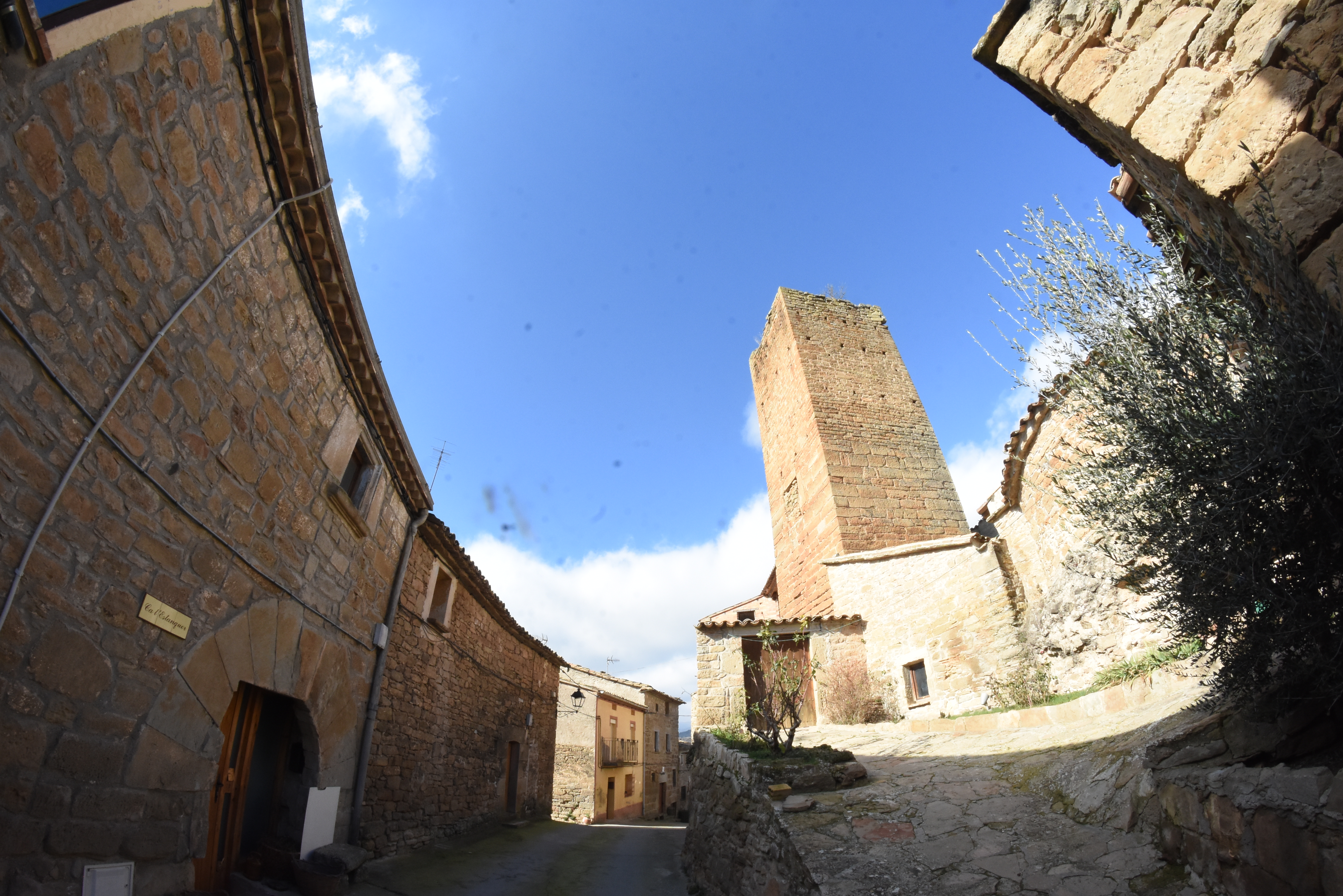 Vilves a Artesa de Segre