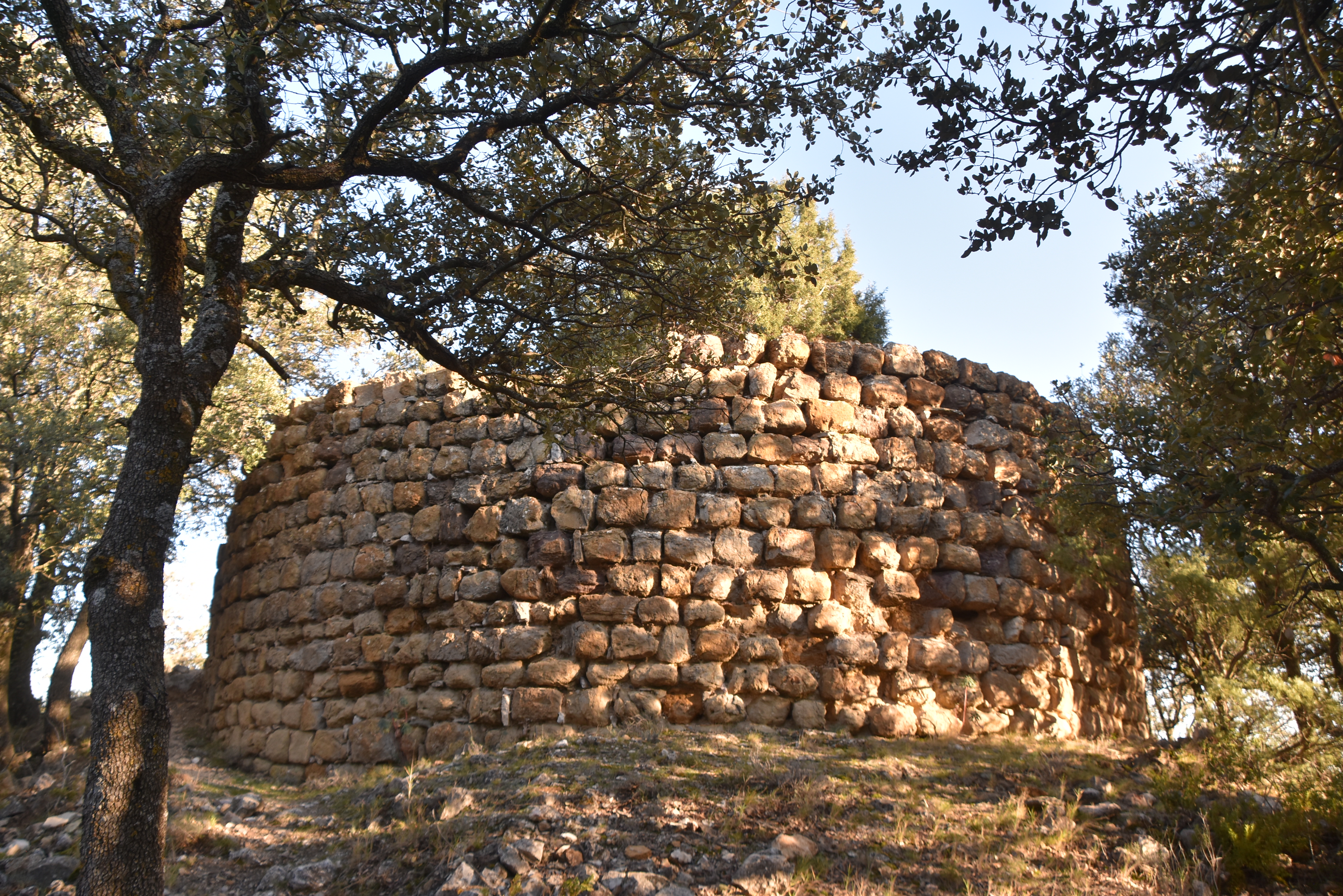 Castell de Meià ***