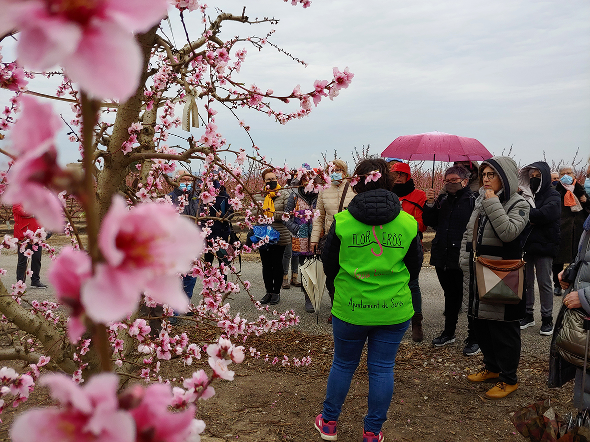 FlorSeròs Experience