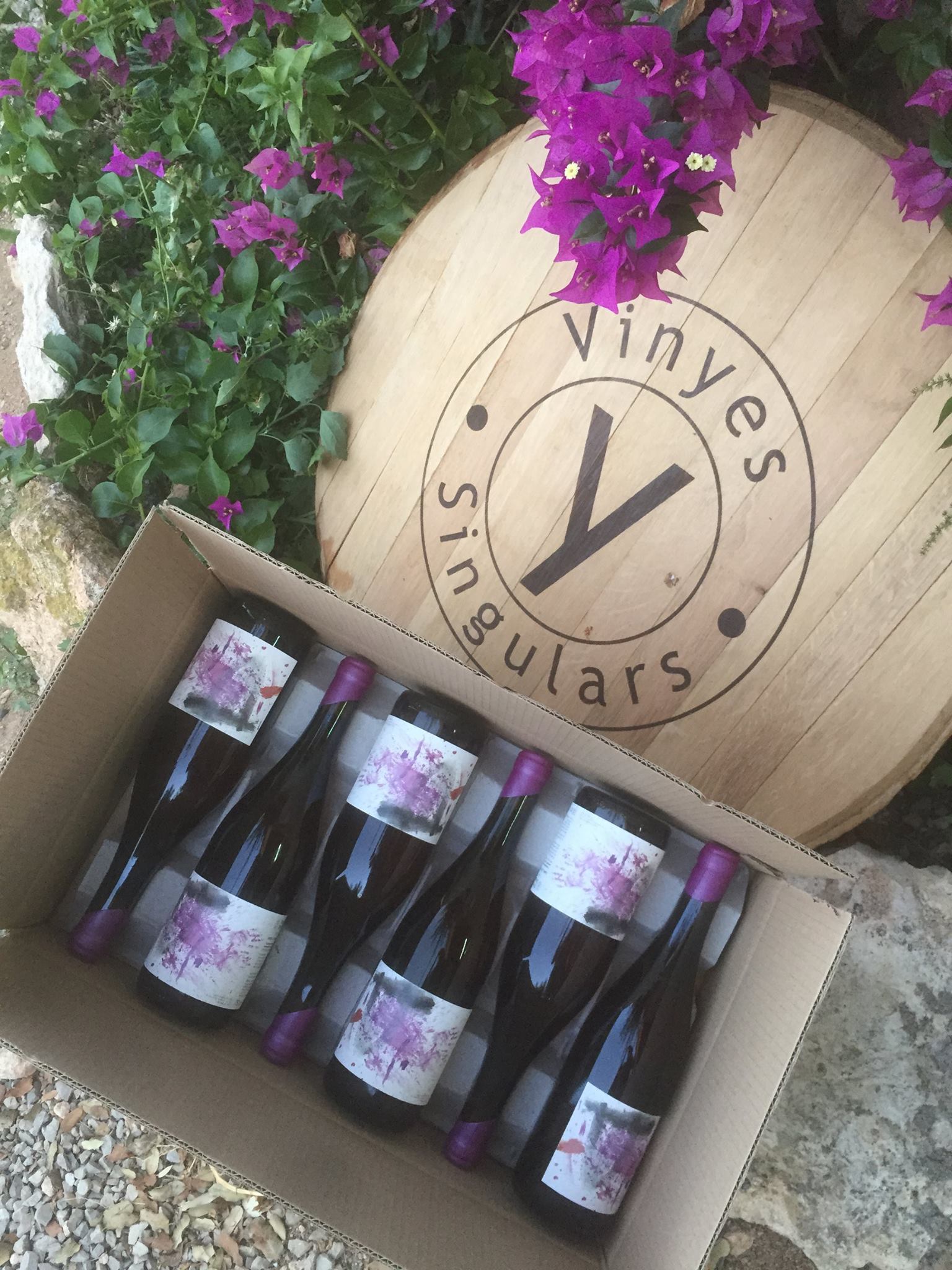 Celler Vinyes singulars a Pacs del Penedès ***
