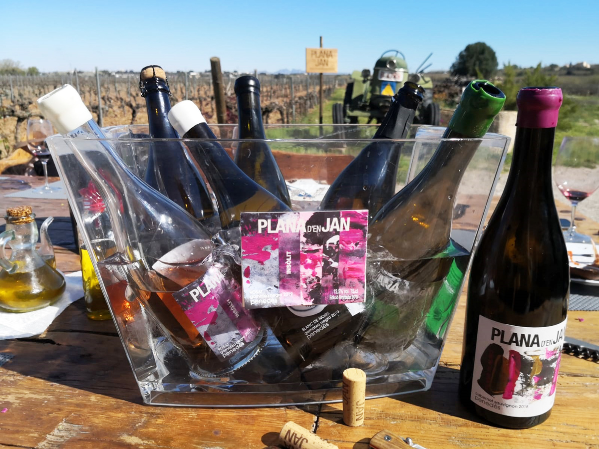 Celler la Plana d'en Jan a Pacs del Penedès ***