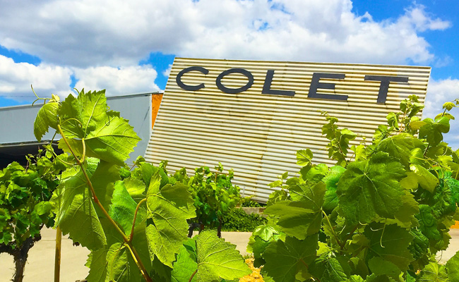 Celler Colet a Pacs del Penedès ***