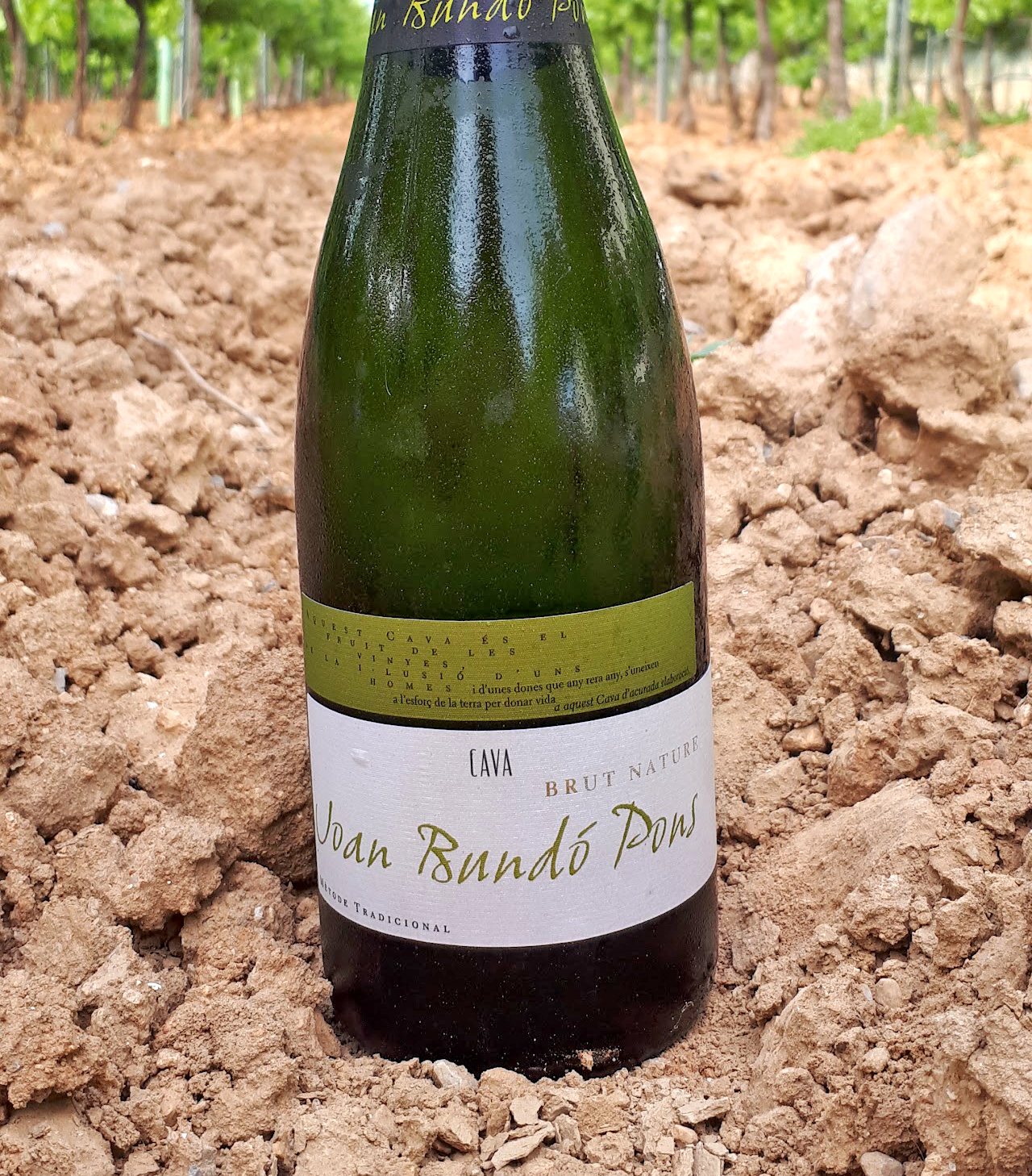 Caves Joan Bundó Pons a Pacs del Penedès ***