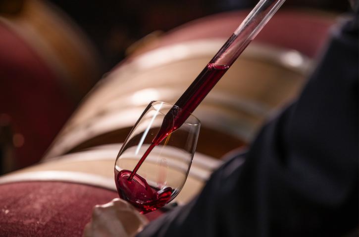 Celler Família Torres a Pacs del Penedès ***