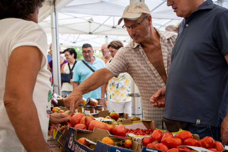 Fira del Tomàquet a Santa Eulàlia de Ronçana