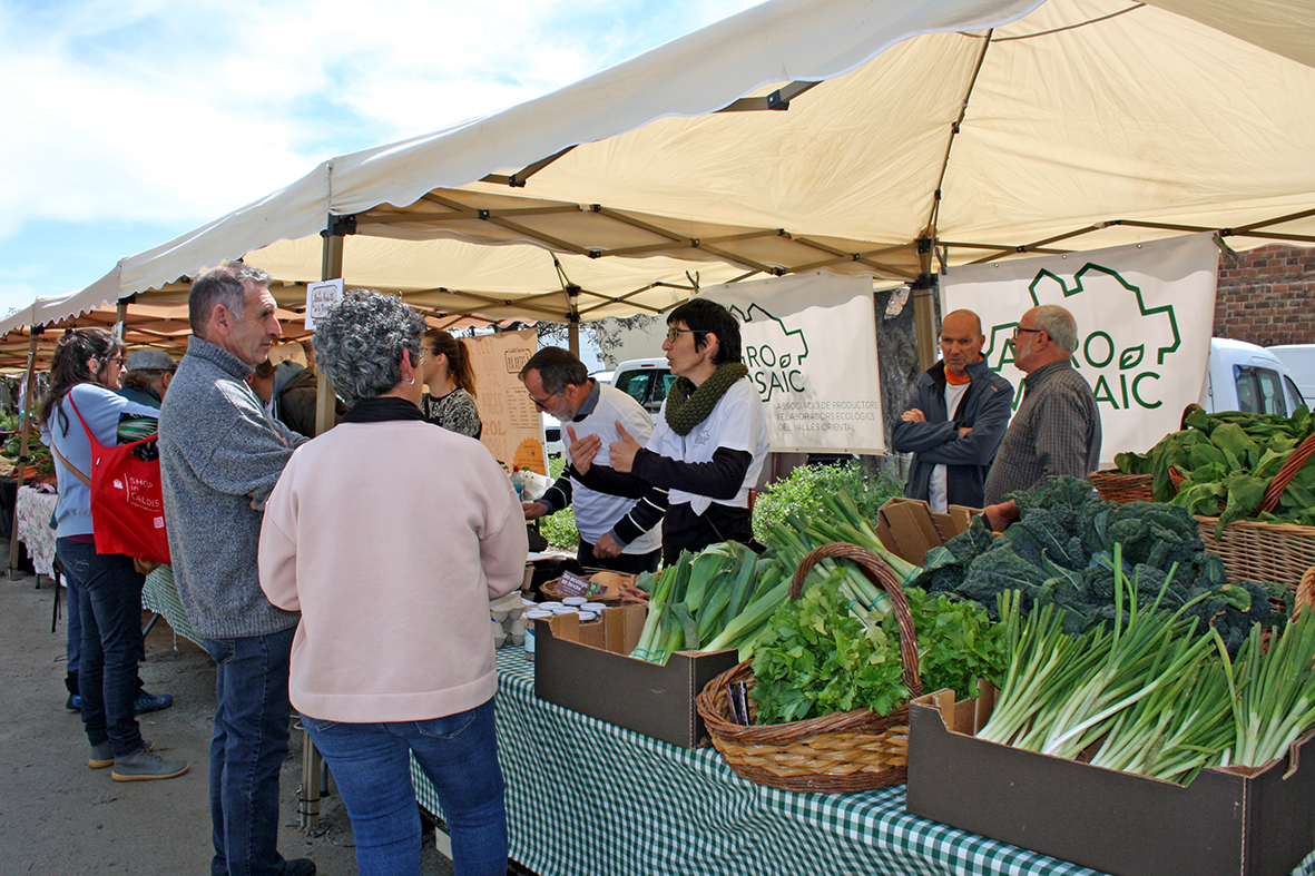 Lliga't a la Terra. La Fira del planter de varietats del Vallès a Santa Eulàlia de Ronçana