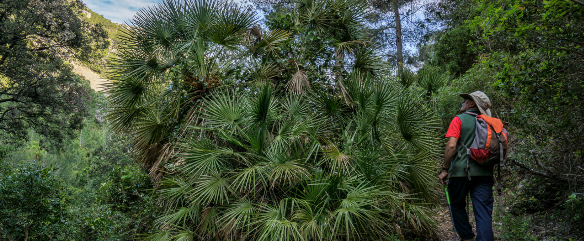 Rutes de Senderisme a Vandellòs i L'Hospitalet de l'Infant