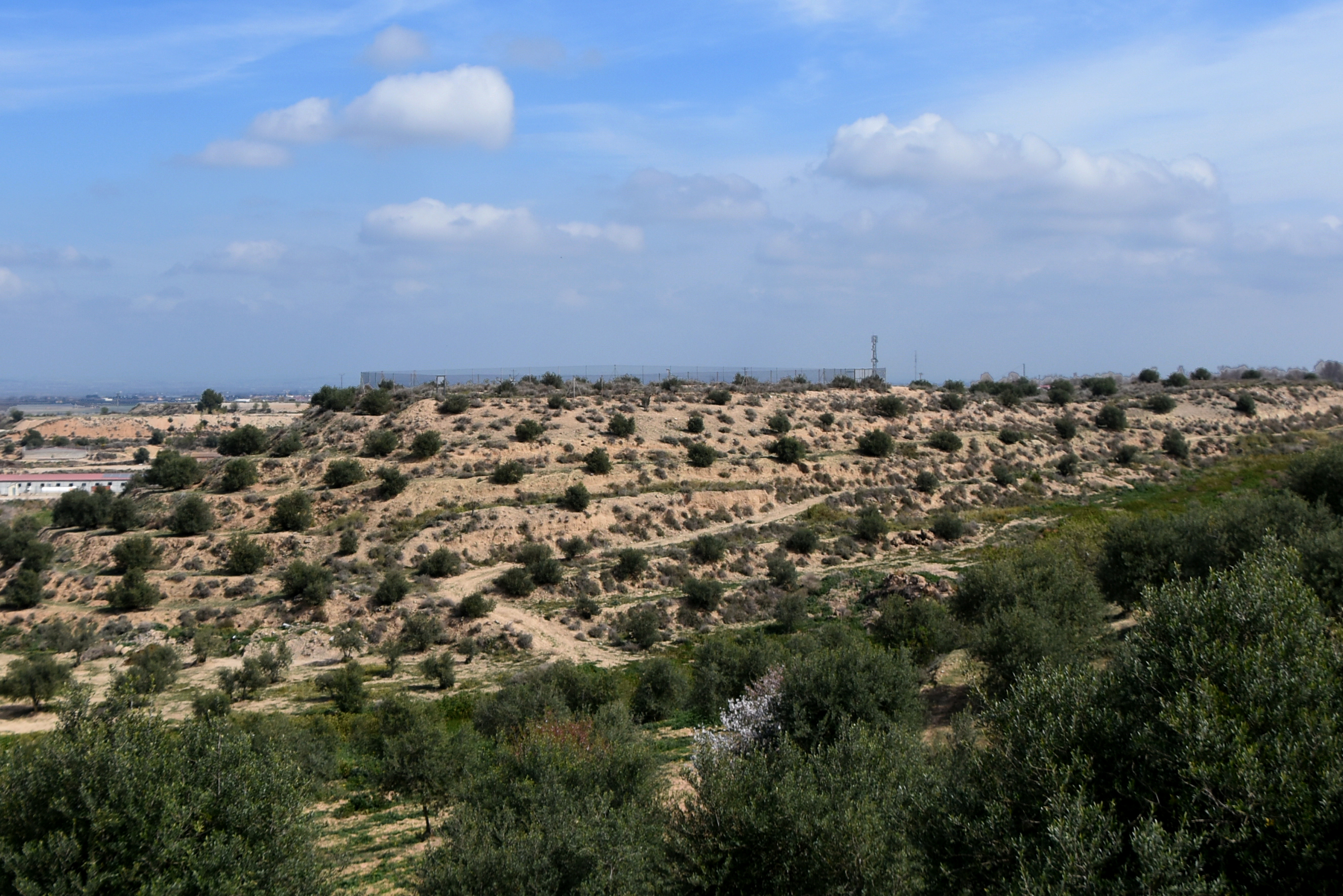 Jaciment ibèric del Tossal de les Tenalles a Sidamon