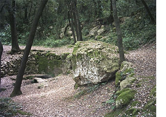 Rutes a Castellet i la Gornal