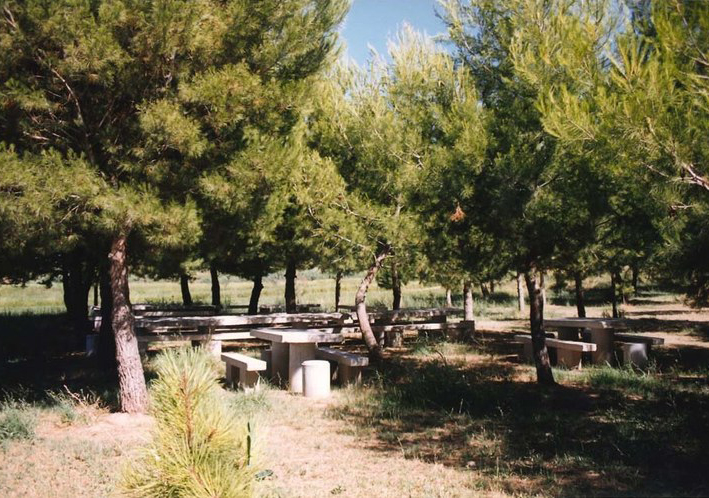 La Pineda de Sidamon