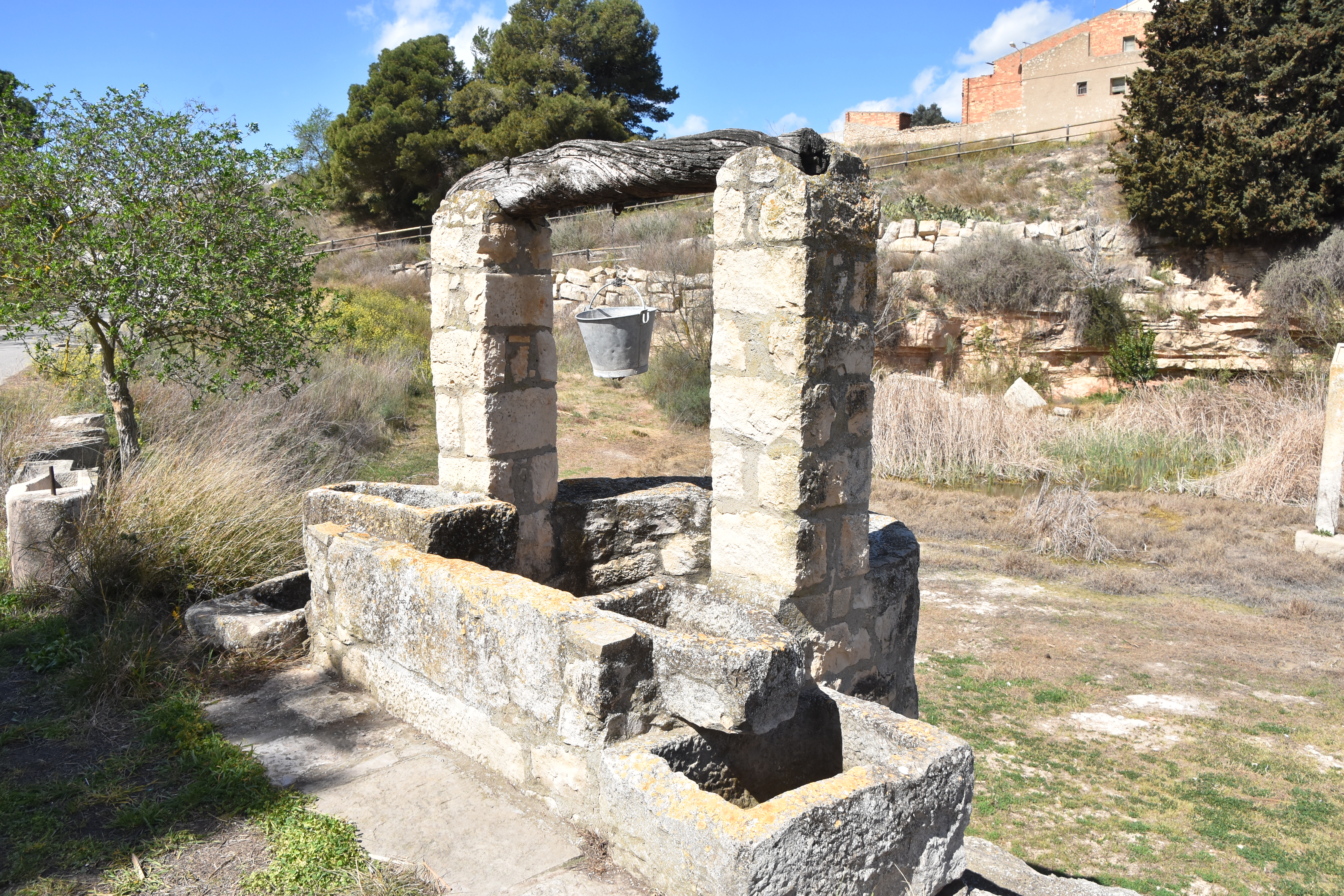 La Bassa d'Amunt d'Almatret