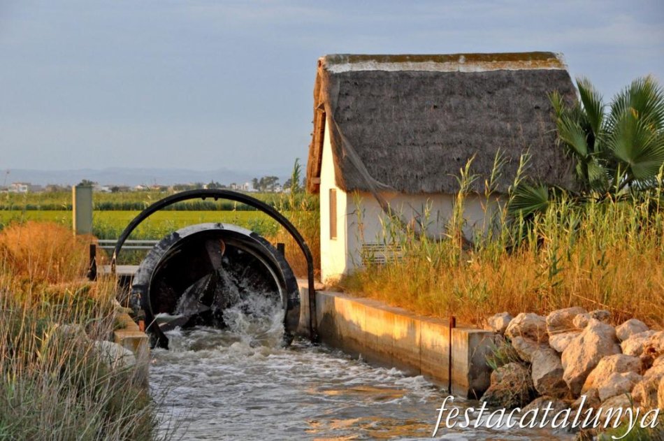 Visites Guiades a Amposta