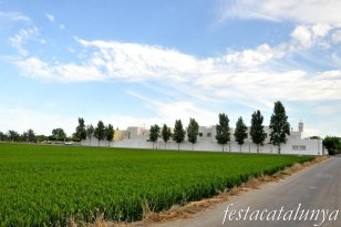 Visites Guiades a Amposta