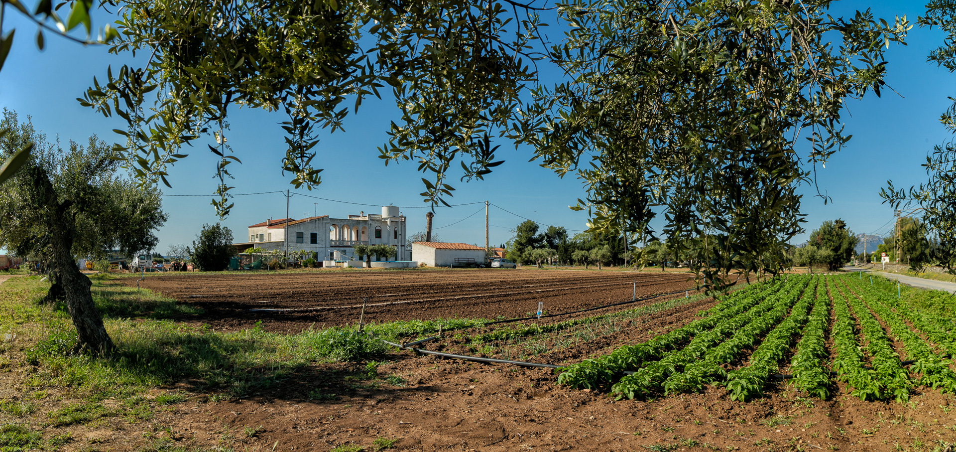 Rutes de Senderisme a Mont-roig del Camp