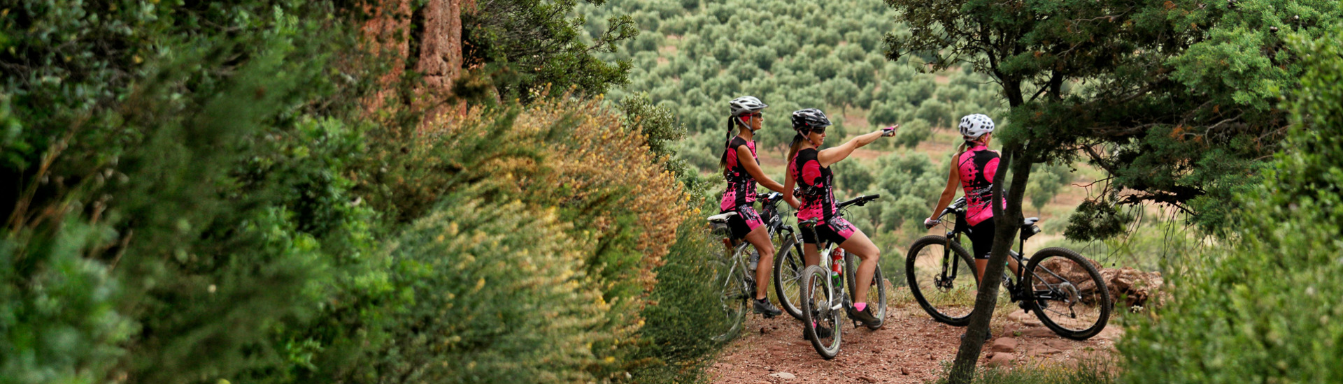 Rutes sobre dues rodes a Mont-roig del Camp